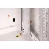 DIGITUS® 7HE sieninis korpusas - pilkas, RAL 7035 - 48,3 cm (19 inch) (DN-19 07-U)
