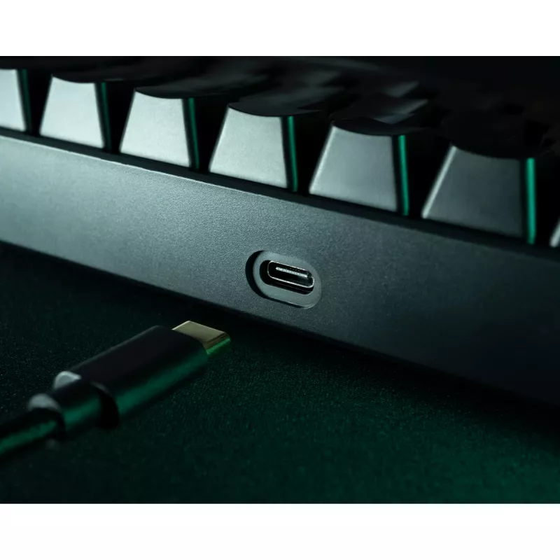 Deltaco GAM-100-DE - 65% - USB + Bluetooth - mechaniniai jungikliai - QWERTZ - RGB LED - juoda