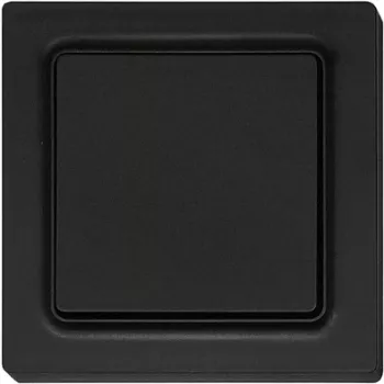 Jungiklis Eltako F2T55E-am 55×55 mm antistatinis matinis – sieninis elektros jungiklis