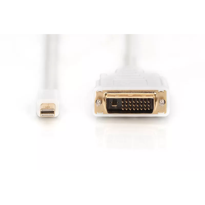 Kabelis DisplayPort 1.1a mini DP-DVI tipas MM 2,0 m