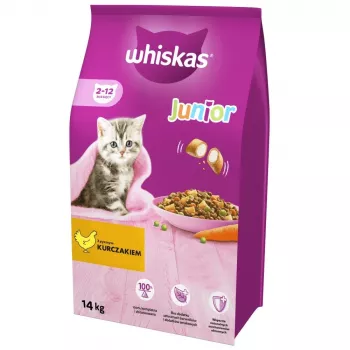 Sausas kačių ėdalas Whiskas Kitten Chicken 14 kg – vištienos skonio, augančioms katėms