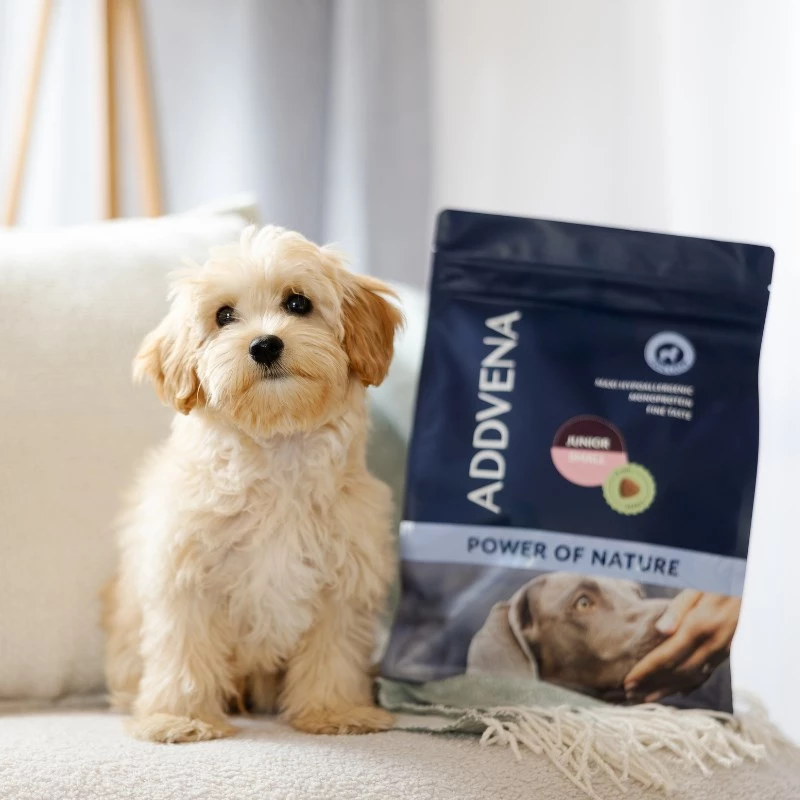 ADDVENA Power of Nature Junior Small Ėriena – sausas šunų ėdalas – 10 kg