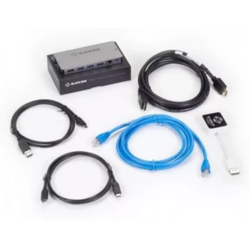 Black Box USB-C dokavimo stotelė su DisplayPort jungtimi