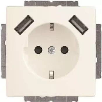 Busch-Jaeger SCHUKO lizdas su 2x USB 20 EUCB2USB-884 (2CKA002011A6277)