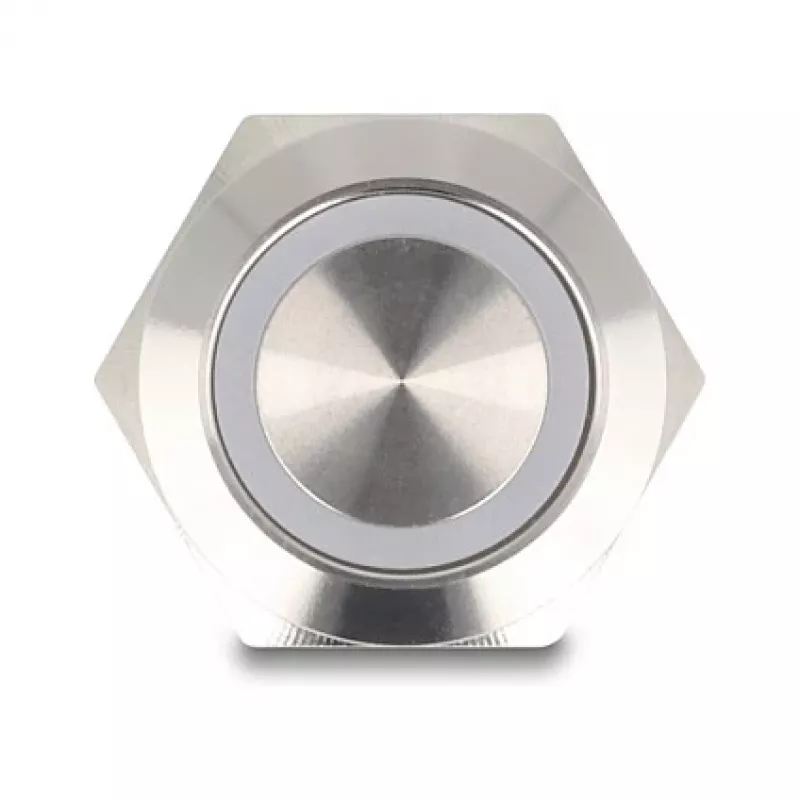 Mygtukinis skydelis DeLOCK 20977 sidabrinis 230V 3A