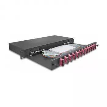 Šviesolaidinė sujungimo dėžė DeLOCK 67008 juoda metalinė 482x220x44mm