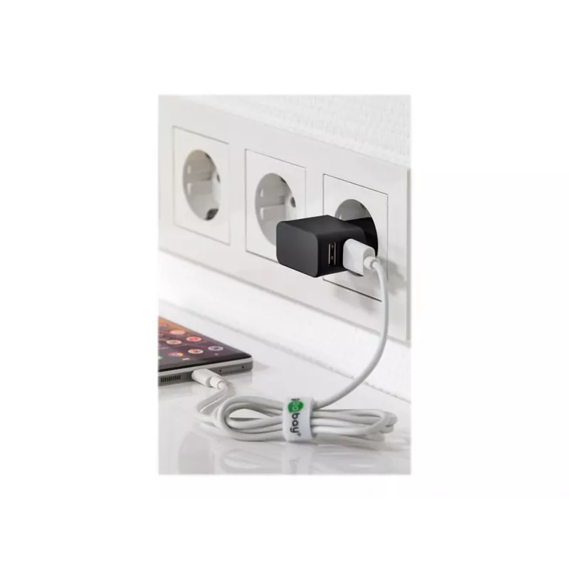 Wentronic goobay Dvigubas USB įkroviklis - Maitinimo šaltinis - 12 W - 2,4 A - 2 išvesties prievadai (USB) - Juoda (44951)