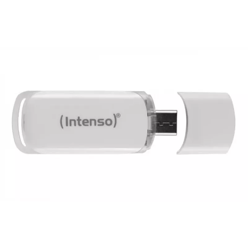 Intenso 128GB USB 3.1 Type-C atmintukas (OTG) 3538491