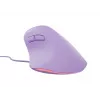 NATEC Crake 2 Pro pelė, vertikali, dešinei rankai, USB-A, optinė, 12800 DPI, violetinė