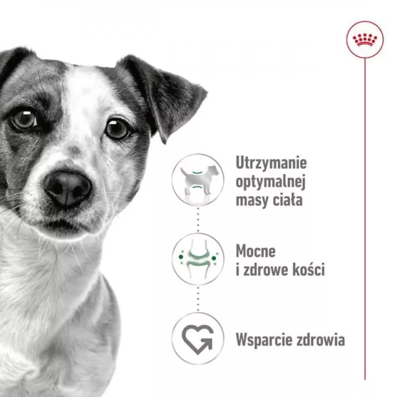 Sausas šunų ėdalas Royal Canin Adult Mini S 8 kg – visavertis maistas mažiems suaugusiems šunims