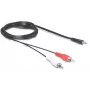 Garso kabelis 3,5 mm / 2 x RCA DeLOCK 84212