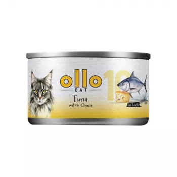 Ollo Tunas su sūriu sultinyje Nr 10 70g