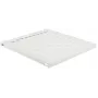 Stalviršinė lentyna Lanview RAS105WH 19 inch 1U 50 kg balta