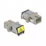 Opticinis pluošto adapteris DeLOCK 86889 SC Simplex moteriškas į SC Simplex moterišką, daugiamodis, smėlio spalvos