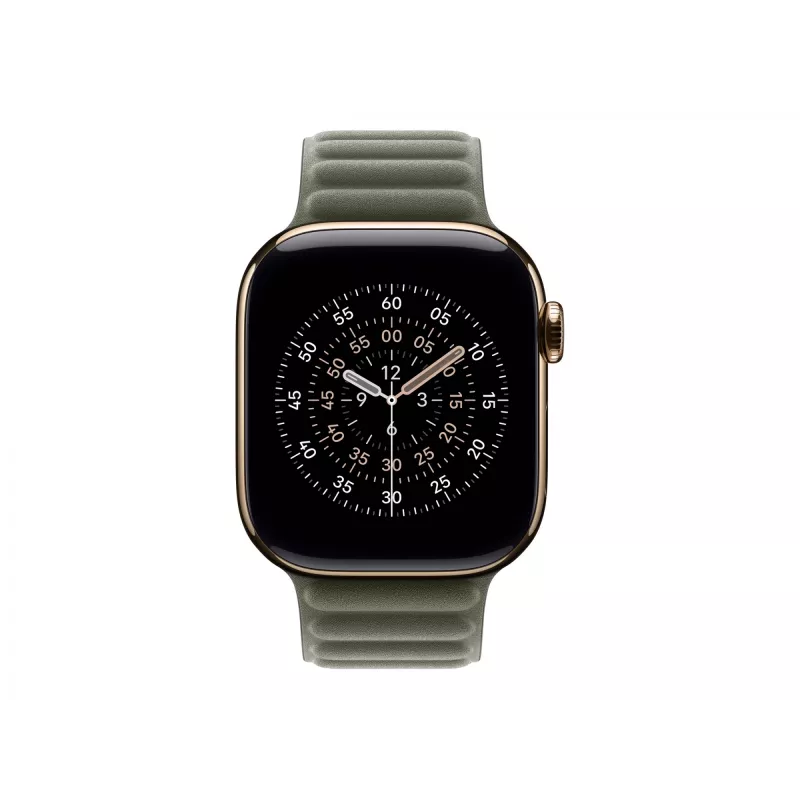 Apple 42 mm Sage Grey Magnetic Link M/L apyrankė pilka 140–180 mm