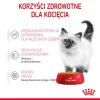 Šlapias kačių ėdalas Royal Canin Kitten Gravy 85 g – paukštiena