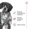 Sausas šunų maistas Royal Canin SHN Medium Adult 15 kg