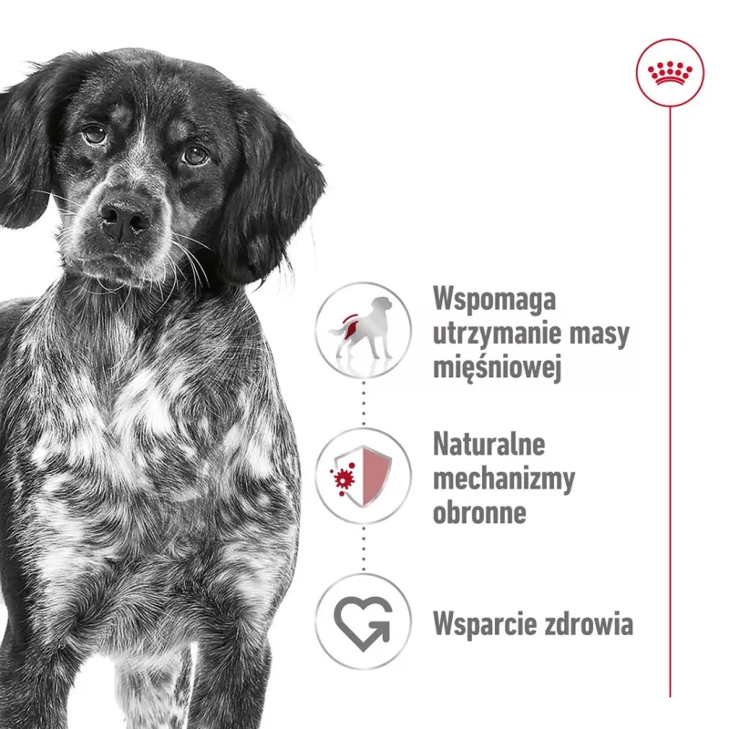Sausas šunų maistas Royal Canin SHN Medium Adult 15 kg