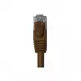 Wentronic 95893 Ethernet Patch kabelis