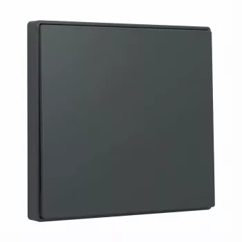 Gira System 55 Wippe 329628 Antracito jungiklio svirtelė moduliniams rėmeliams