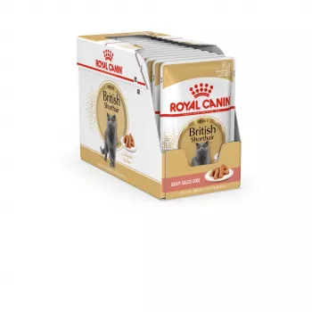Šlapias kačių maistas Royal Canin British Shorthair Adult sachet 85 g, paukštiena, ROYAL CANIN Feline Breed Nutrition