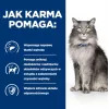 HILL'S Prescription Diet Liver Care - sausas kačių ėdalas - 1,5 kg