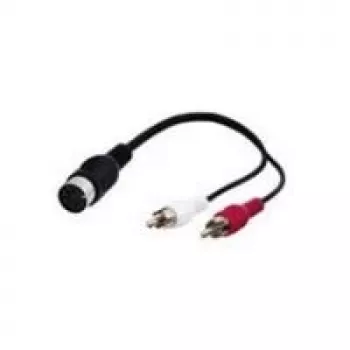 Wentronic Goobay DIN/RCA adapterio laidas, 0,2 m - DIN lizdas 180° (5 kontaktų) > 2x RCA kištukas (kairysis/dešinysis garsas) (50004)