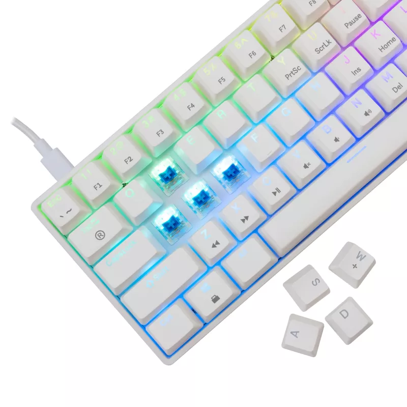 Laidinė mechaninė klaviatūra White Shark Shinobi-2 (GK-004221) – mėlyni jungikliai, balta, US išdėstymas