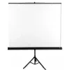 Avtek Tripod Standart 175 projekcinis ekranas 1:1