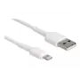 USB įkrovimo laidas DeLOCK 87866 iPhone, iPad, iPod 30 cm