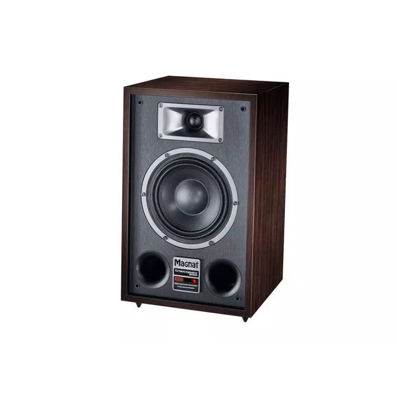 Grindinė kolonėlė Magnat TRANSPULS 800A 2 krypčių laidinė ir belaidė 2×60 W, Bluetooth 5.0, HDMI, juoda/ruda