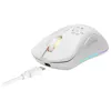 Belaidė žaidimų pelė Deltaco GAM-120-W RF belaidė USB Type-C
