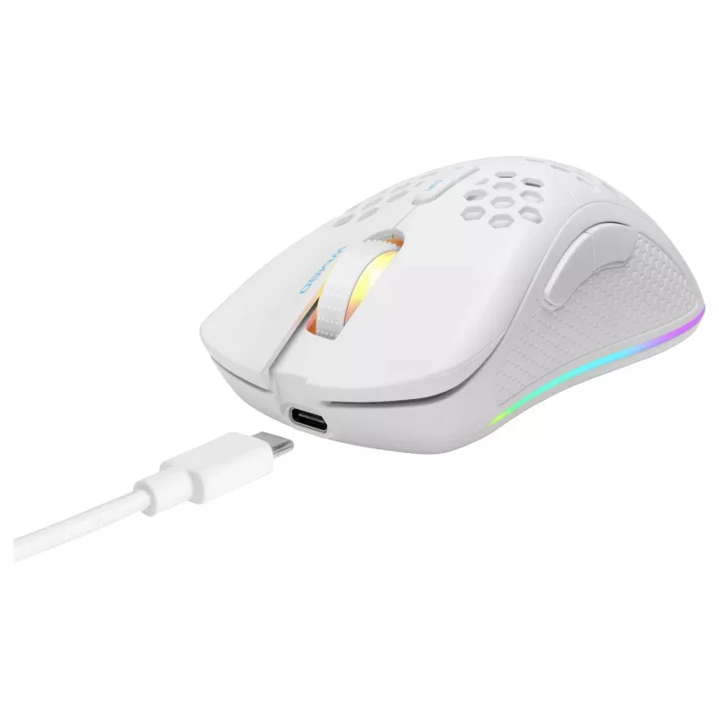 Belaidė žaidimų pelė Deltaco GAM-120-W RF belaidė USB Type-C