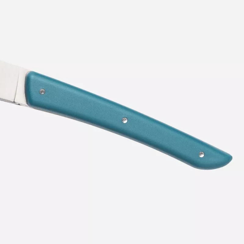 Steakiniai peiliai Berkel KCO4SW11SRPBL nerūdijantis plienas 4 vnt 11 cm ašmenys