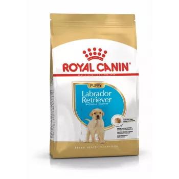 ROYAL CANIN SHN Breed Labrador Junior sausas šunų ėdalas - 12 kg
