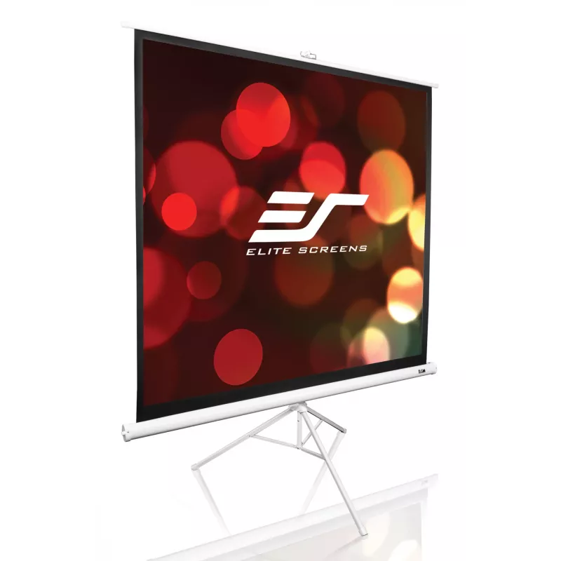 Tripoidinis projektorinis ekranas Elite Screens T113NWS1 2,87 m 1:1