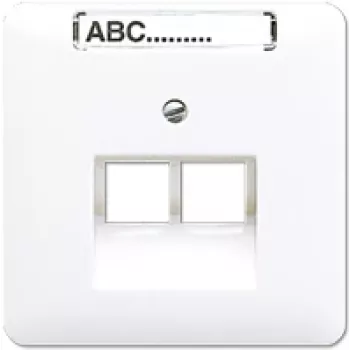 Jung CD 569-2 NAUA WW dviejų IAE/UAE lizdų uždangalas, baltas