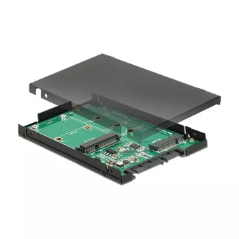 DeLOCK 62866 vidinė M.2 / mSATA sąsajos plokštė