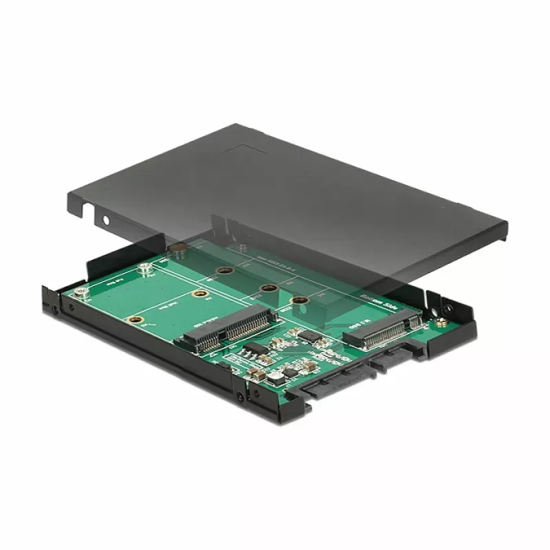 DeLOCK 62866 vidinė M.2 / mSATA sąsajos plokštė