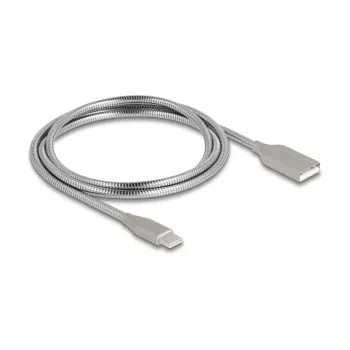 USB laidas DeLOCK 81258 sidabrinis