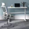 Stalas su rankiniu aukščio reguliavimu Ergo Office, maks. 40 kg, maks. aukštis 117 cm, su stalviršiu darbui stovint ir sėdint, ER-401 W