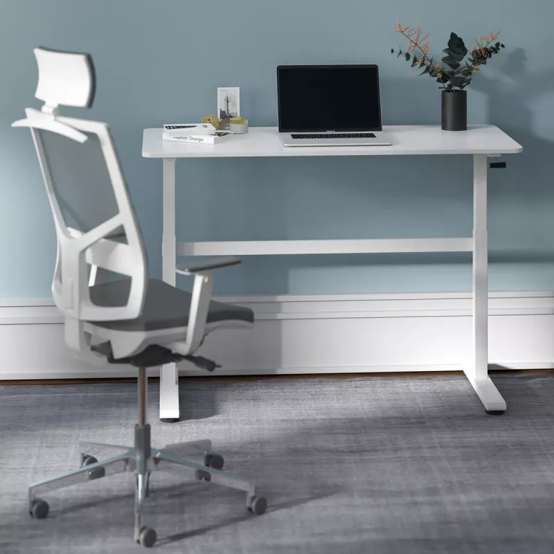 Stalas su rankiniu aukščio reguliavimu Ergo Office, maks. 40 kg, maks. aukštis 117 cm, su stalviršiu darbui stovint ir sėdint, ER-401 W