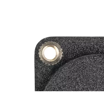 DeLOCK D-Type modulis DisplayPort lizdas-lizdas 4K juodas
