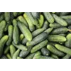 Agurkų sėklos Wisconsin Cucumber SMR 58 Toraf, 5g pakuotė