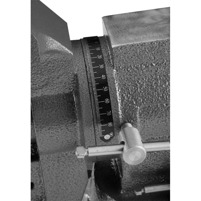 Sukamasis šaltkalvio spaustuvas NEO tools 100 mm 360°, modelis 35-030