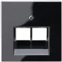 Jung A 569-2 BFPLUA SW Black (A569-2BFPLUASW) jungiklis
