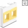 Montažinis rėmelis DELOCK Easy 45 moduliams su 2 Keystone laikikliais 45×45 mm baltas/geltonas