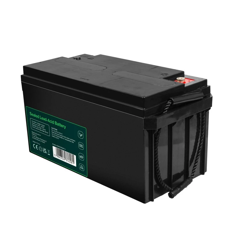 Akumuliatorius AGM VRLA 12V 65Ah IP54
