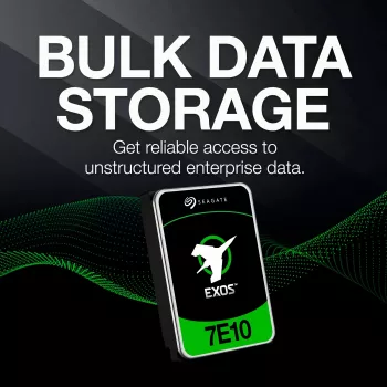 Seagate Enterprise ST4000NM000B vidinis kietasis diskas 4 TB 7200 RPM 256 MB 3,5 colio Serial ATA III
