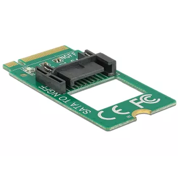 Delock 62876 vidinis SATA adapteris M.2 į SATA 7 kontaktų